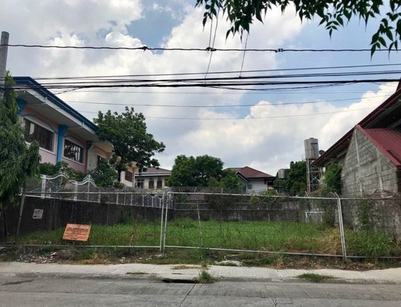 457 sqm Residential/Commerial Lot For Sale in Las Pinas Metro Manila
