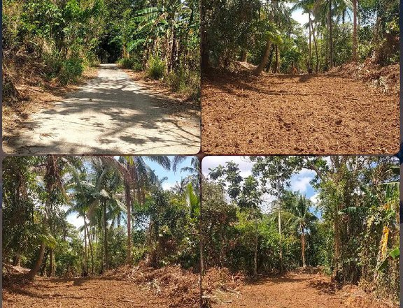 600 sqm Agricultural Farm For Sale in Alfonso Cavite