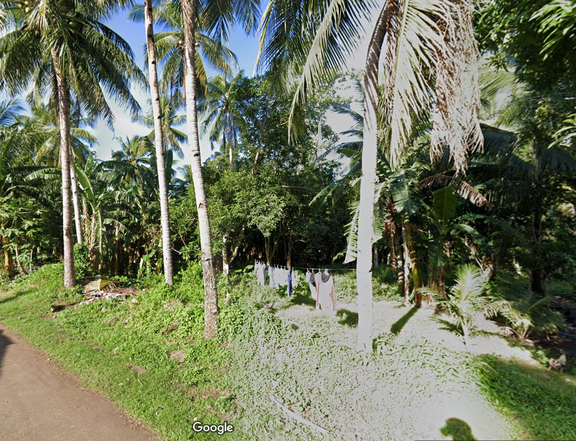 1,168 sqm Lot For Sale in Guinsiliban Camiguin