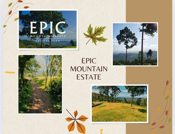 1,000 sqm Residential Farm For Sale in Tanay Rizal