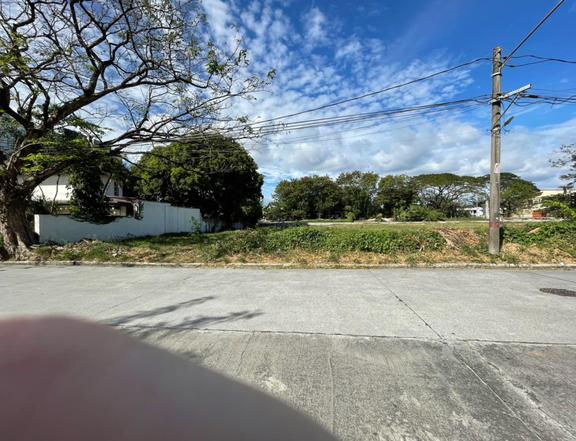 Residential Vacant Lot For Sale in Multinational Village Paranaque Metro Manila