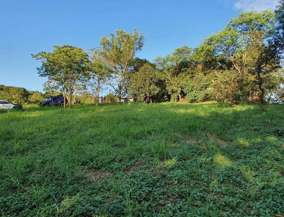 2,691 sqm Residential Vacant Lot for Sale in Valley Golf, Antipolo, Rizal