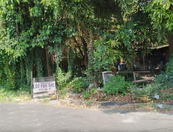 Vacant Lot for Sale in Prime Location in Novaliches Quezon City