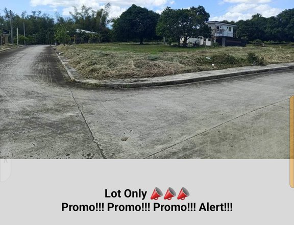 134 sqm Residential Lot For Sale in Lucena Quezon
