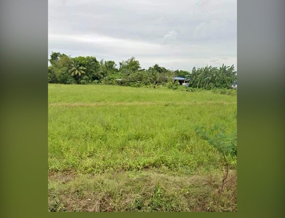 LOT FOR SALE IN PULILAN BULACAN