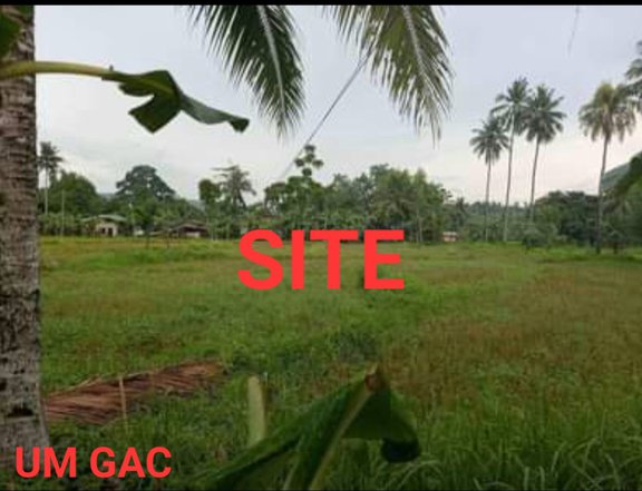 6,000sqm lot for sale in Barili along Tourism highway