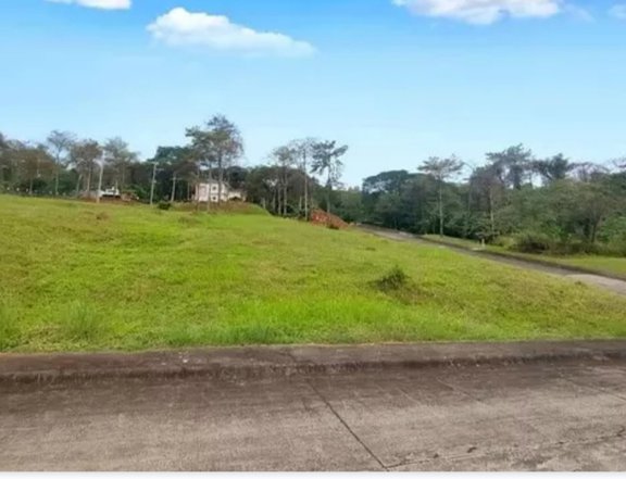 329 sqm Residential Lot For Sale in Antipolo Rizal