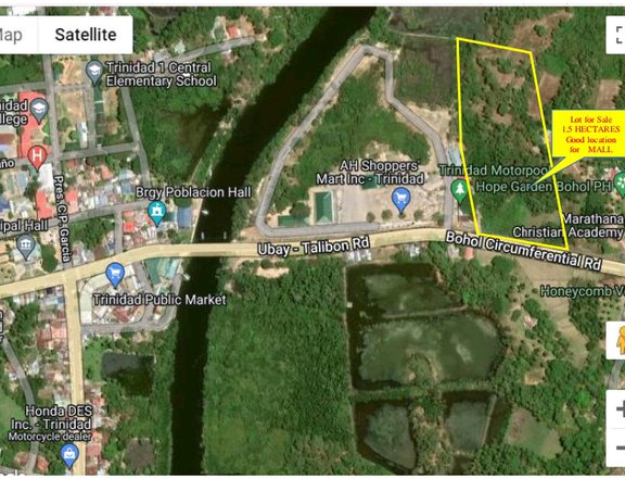 1.5 hectare lot for sale in Trinidad, Bohol