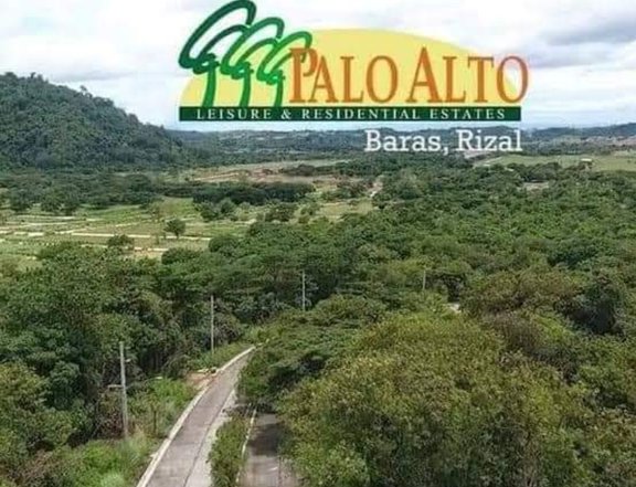 150 sqm lot at palo alto executive village, baras tanay