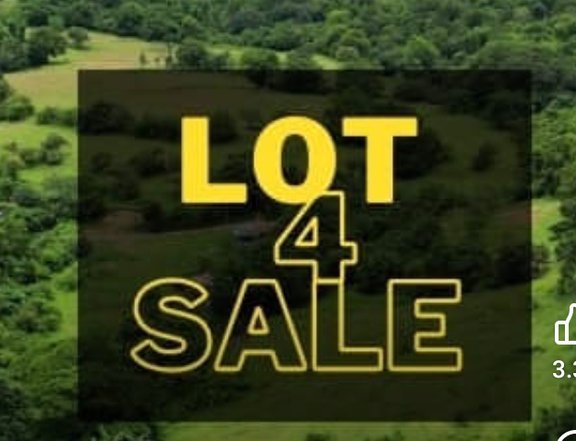 Premium lot For Sale in San Mateo Rizal