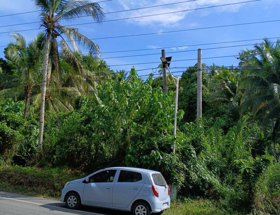 1,987 sqm Along Provincial Highway Located at Basey Samar near Tacloban City. Clean Title.