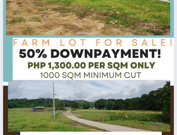 1000 sqm Agricultural Farm For Sale in Nasugbu Batangas