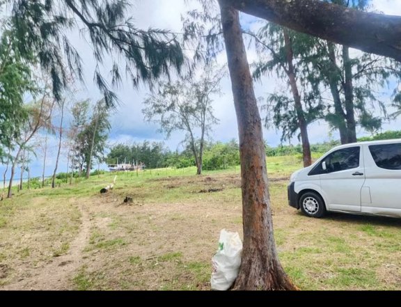 Beach lot in INFANTA QUEZON