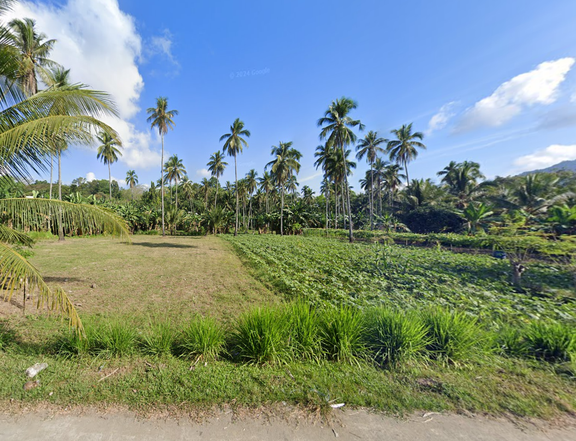 5K per sqm Lot 6,592 sqm For Sale in Iligan City, Lanao Del Norte