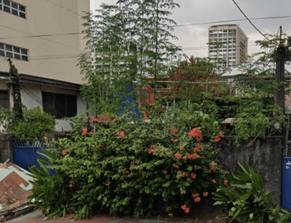 113.5 SQM Vacant Lot for Sale in Scout Area, Quezon City