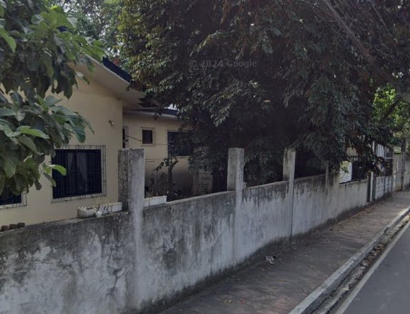 2,460 sqm lot in Marikina Heights for Sale