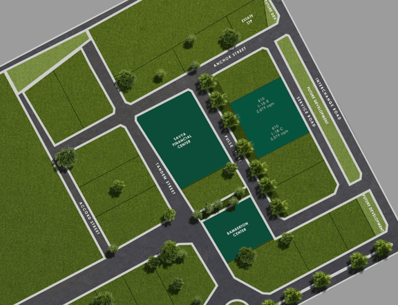 2,079 sqm Lot For Sale in Arca South by AyalaLand Estates in Taguig