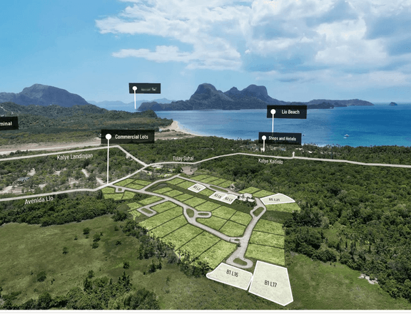 Commercial Beach lot For Sale in El Nido ,Palawan