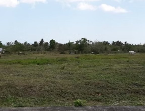 Land for sale in Lipa, Batangas.