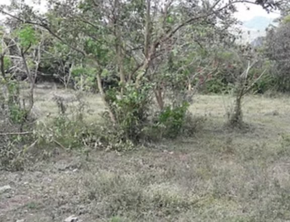 Land for Sale for Sale in Lipa, Batangas.