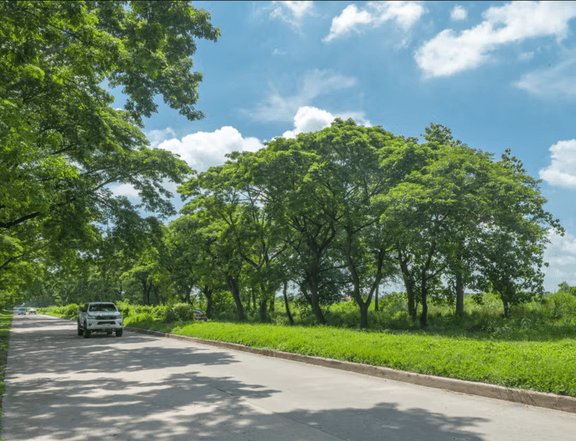 520 sqm Budget Friendly Commercial Lot For Sale in Tarlac City
