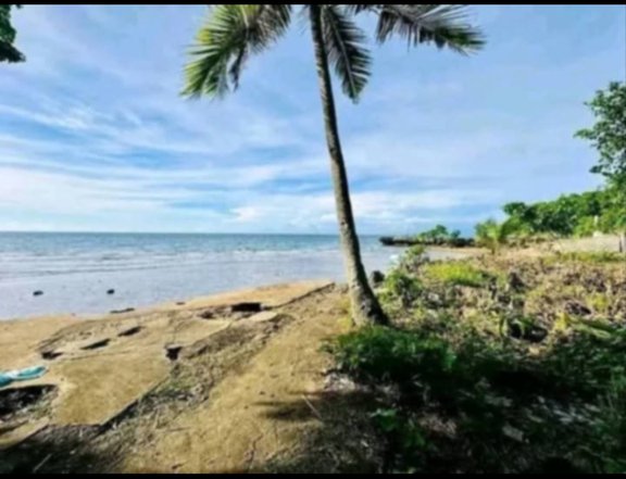 1,700 sqm Beach Property For Sale in Poro Cebu