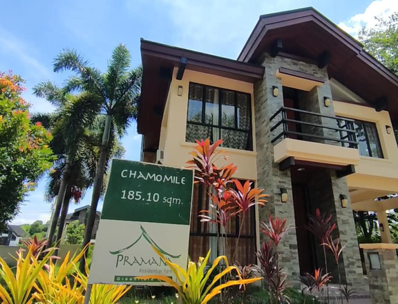 Ready For Occupancy 3-bedroom Premium House For Sale in Santa Rosa Laguna