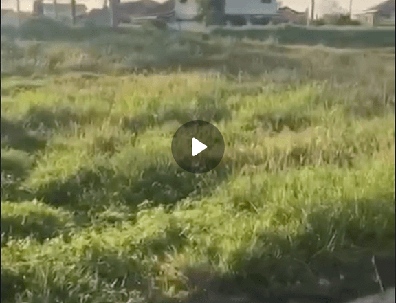 Below Market Value 120sqm Vacant Lot For Sale in Southplains Executive Village Dasmarinas Cavite