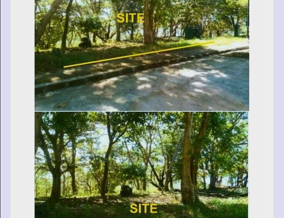 Terrazas De Punta Fuego in Nasugbu Batangas Forest Cove Natipuan Cove Munting Buhangin Beach Camp