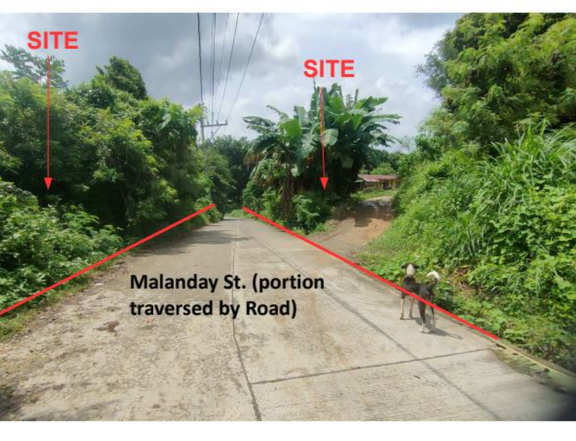 Foreclosed 1.49 hectares Residential Farm For Sale in Angat Bulacan