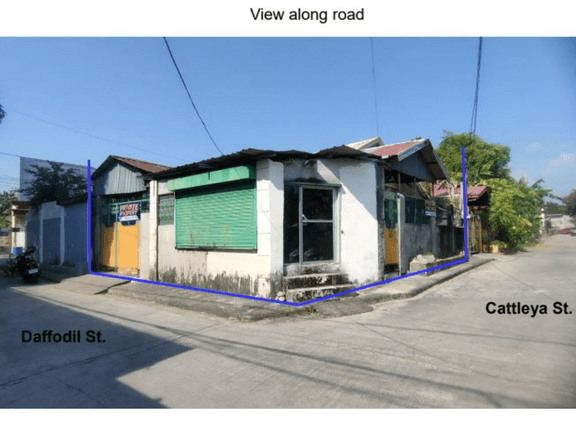 Dolmar Golden Hills Subd in Bulacan Puregold Loma de Gato Muzon Public Market