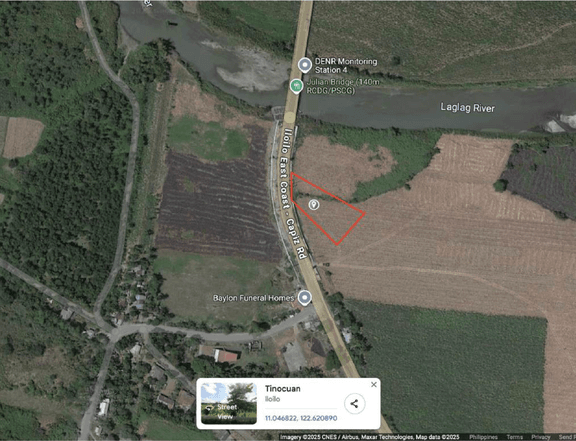 5,500 sqm Lot for Sale Along National Highway  Duenas, Iloilo