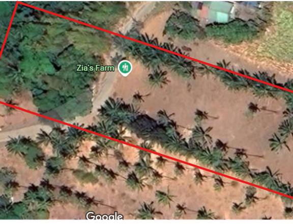 Calaca Farm for Sale 1.3HA