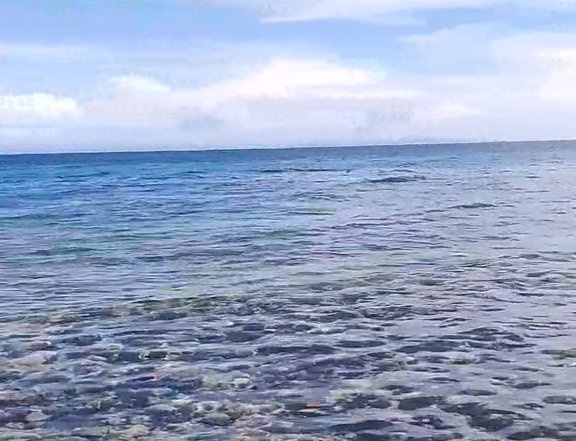 72 sqm Beach Property For Sale in Bogo Cebu