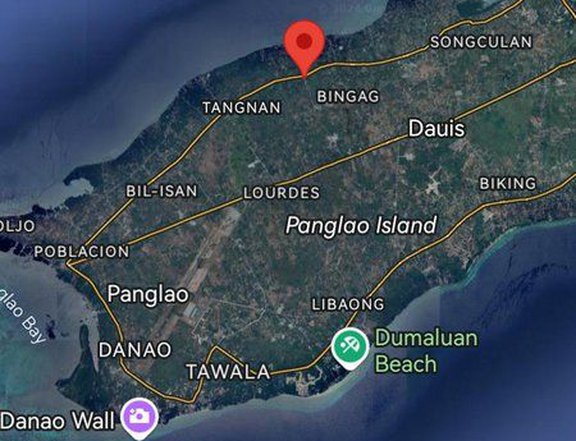 3,301 sqm Farm Lot For Sale in Panglao Bohol