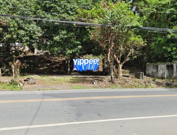 RESIDENTIAL/ COMMERCIAL LOT FOR SALE IN BARAS RIZAL