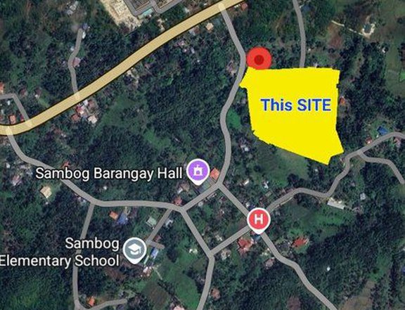Residential Loz for Sale in Sambog Corella Bohol