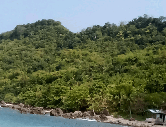18 hectares Lot For Sale Overlooking the sea! in Bani pangasinan,