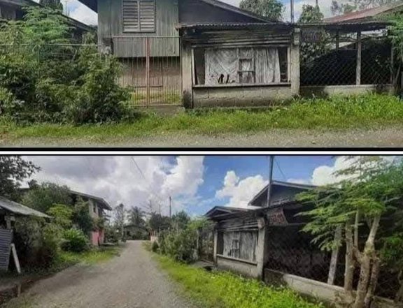 196 sqm Residential Lot For Sale in Tagum Davao Del Norte