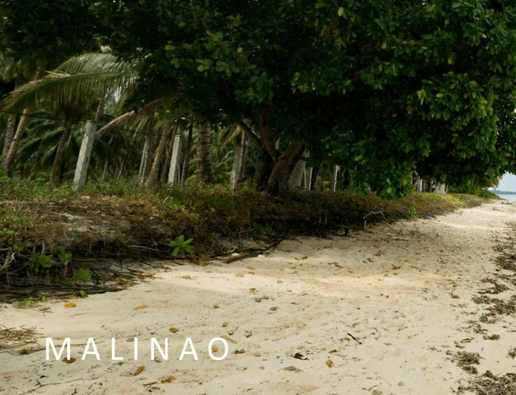 Expansive beachfront land for sale in Siargao's prime location