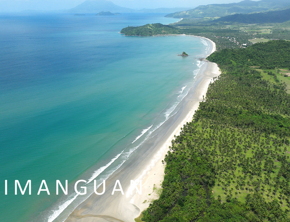 Ready For Occupancy 3 hectares Beach Property For Sale in San Vicente Palawan