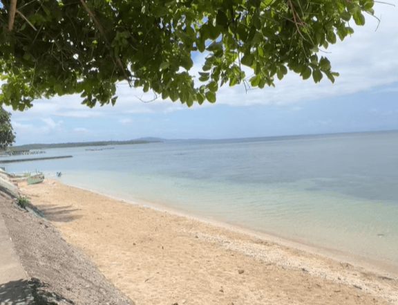BEACHFRONT HOUSE & LOT FOR SALE