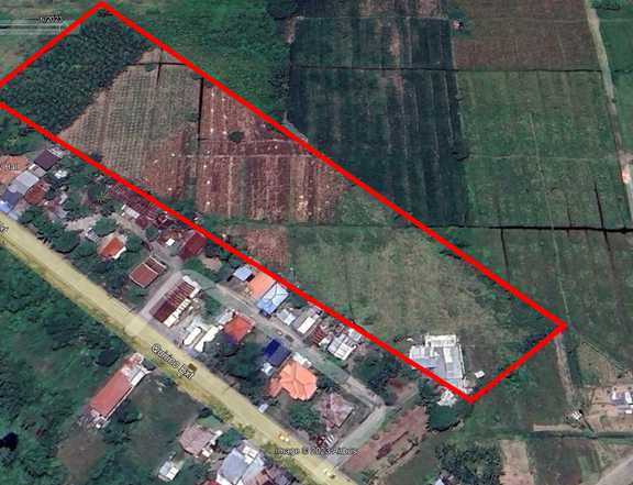 2.1 Hectares Land for Sale in Panabo City Davao