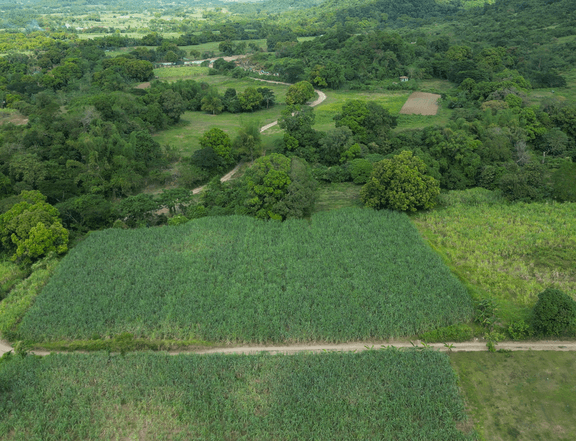 Affordable 157 sqm Agricultural Farm For Sale in Nasugbu Batangas