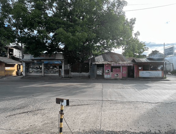 367 sqm Commercial Lot For Sale in Davao City Davao del Sur