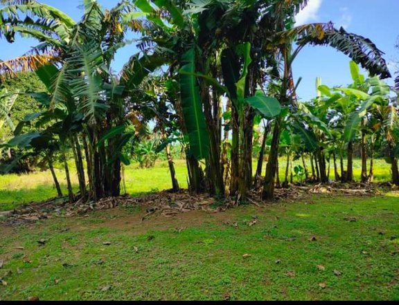 Residential FarmLot For Sale In Indang Cavite