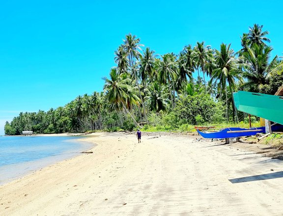 Beach lot subdivision in Palawan for sale (Direct to owner)