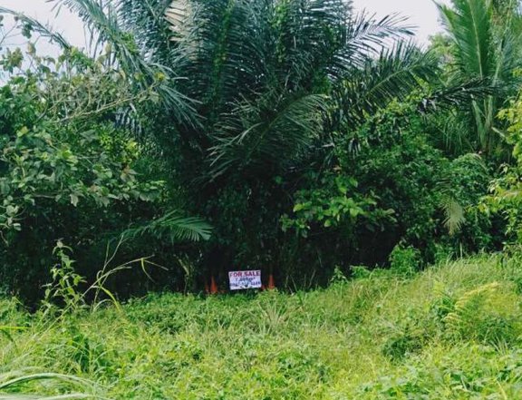 For Sale: Vacant Lot in Silang Cavite (near Tagaytay City border)