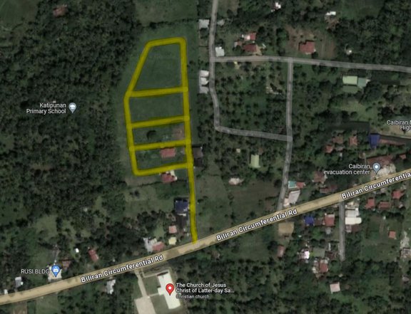 100 - 180sqm Residential Lots For Sale in Caibiran Biliran