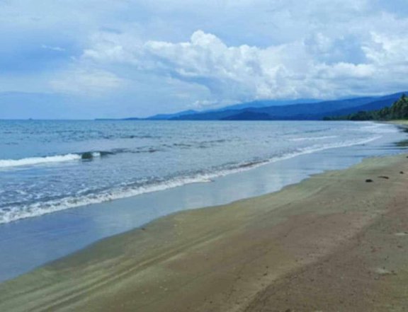 3-Hectare Titled Property For Sale in Aramaywan, Quezon  Puerto Princesa City